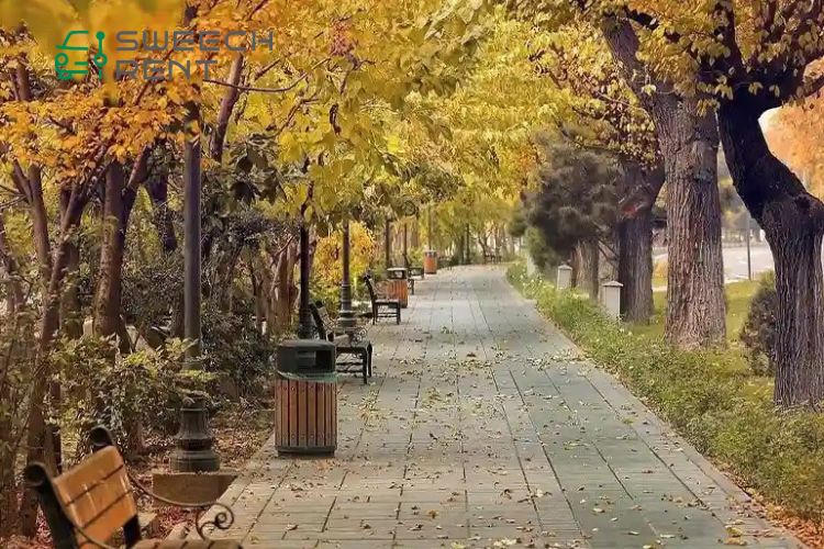 خیابان کشاورز تهران