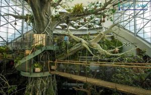 سیاره سبز دبی  (The Green Planet)
