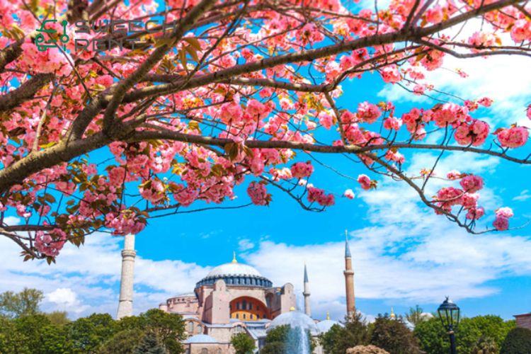 سفر به استانبول در فصل بهار
