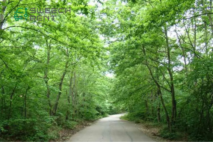جاده سراوان به فومن